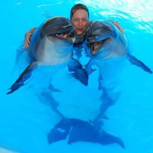 Dolphinarium in Sharm el Sheikh