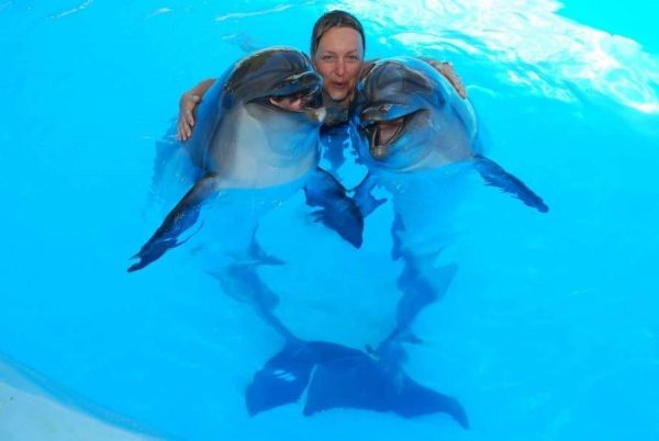 Dolphinarium in Sharm el Sheikh