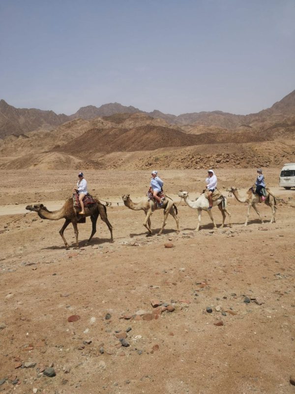 Wadi El Weshwash camel ride