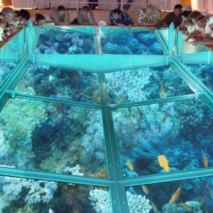 excursion on boat with glass clear bottom, Sharm el Seikh