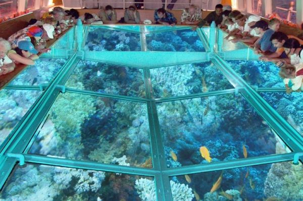 excursion on boat with glass clear bottom, Sharm el Seikh