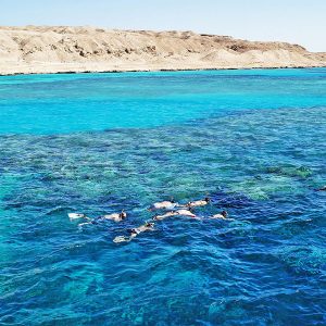 snorkeling near Ras Mohammed