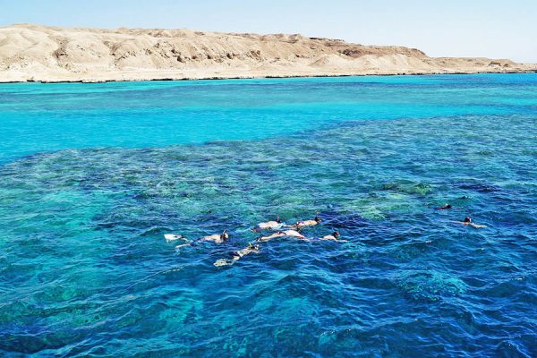 snorkeling near Ras Mohammed