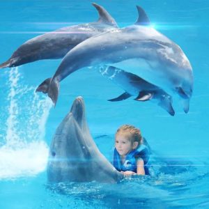 Dolphinarium in Hurghada