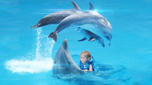 Dolphinarium in Hurghada