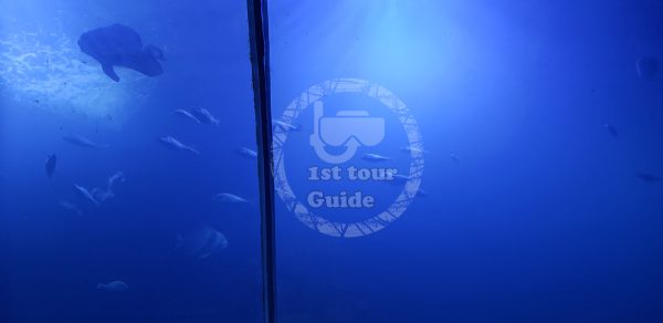 Grand aquarium in Hurghada excursion