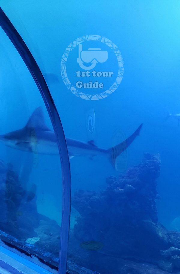 Grand aquarium in Hurghada