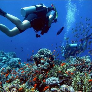 Professional diving in Hurghada