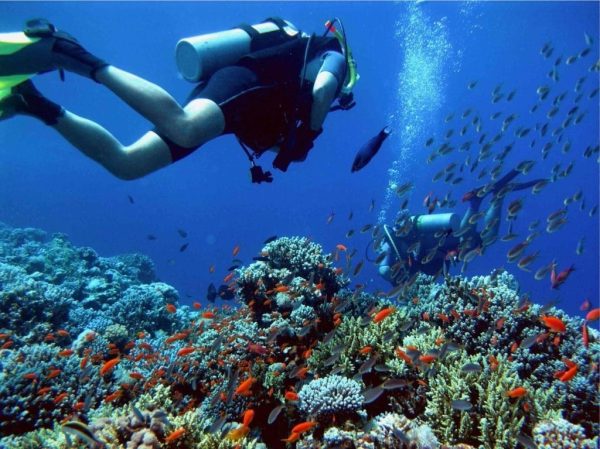 Professional diving in Hurghada