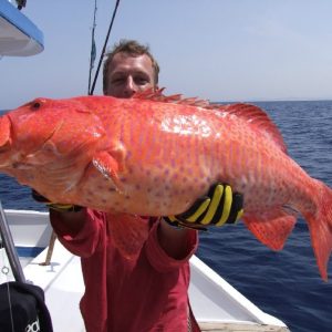 fishing in Hurghada