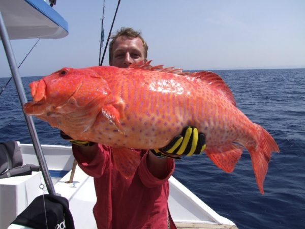 fishing in Hurghada