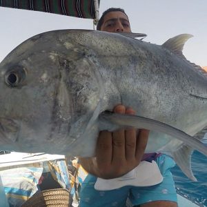 individual fishing in Hurghada