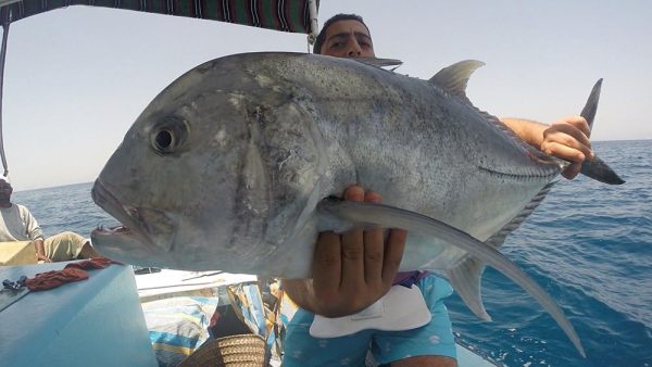 individual fishing in Hurghada